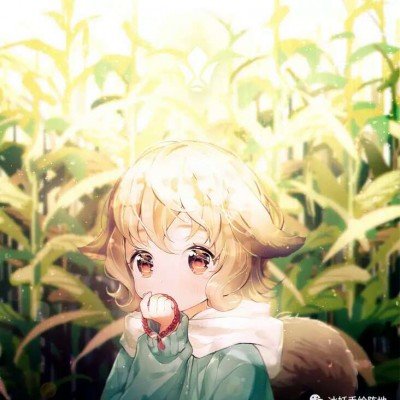 明星买张雪机车也得排队